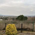 Stockwood