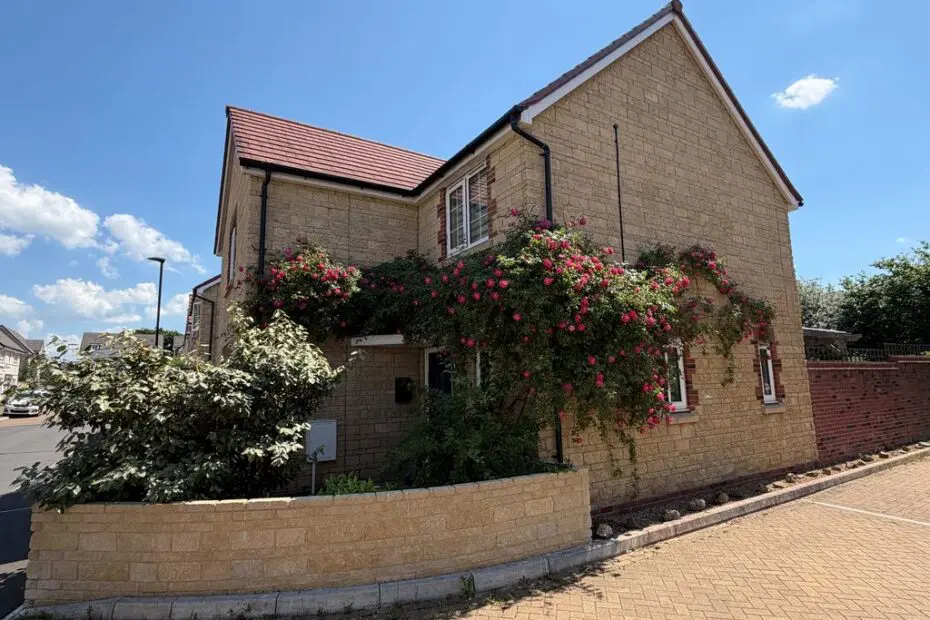 Maes Knoll Drive